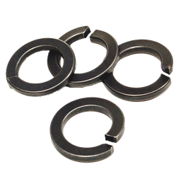 [0034] ARANDELA GROWER PULIDA 1